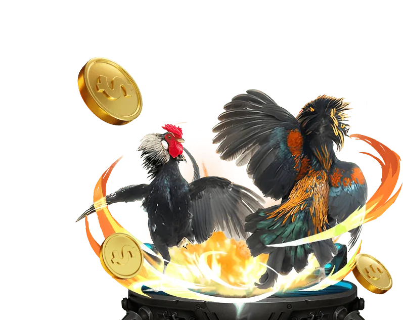 Giới thiệu về cá cược đá gà trực tuyến good88 moe